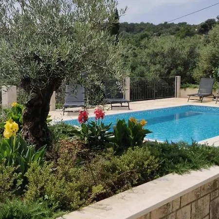 Holiday home House With A Swimming Pool Selca, Brac - 22845 *