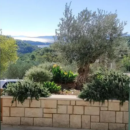 House With A Swimming Pool Selca, Brac - 22845 Tatil Evi *